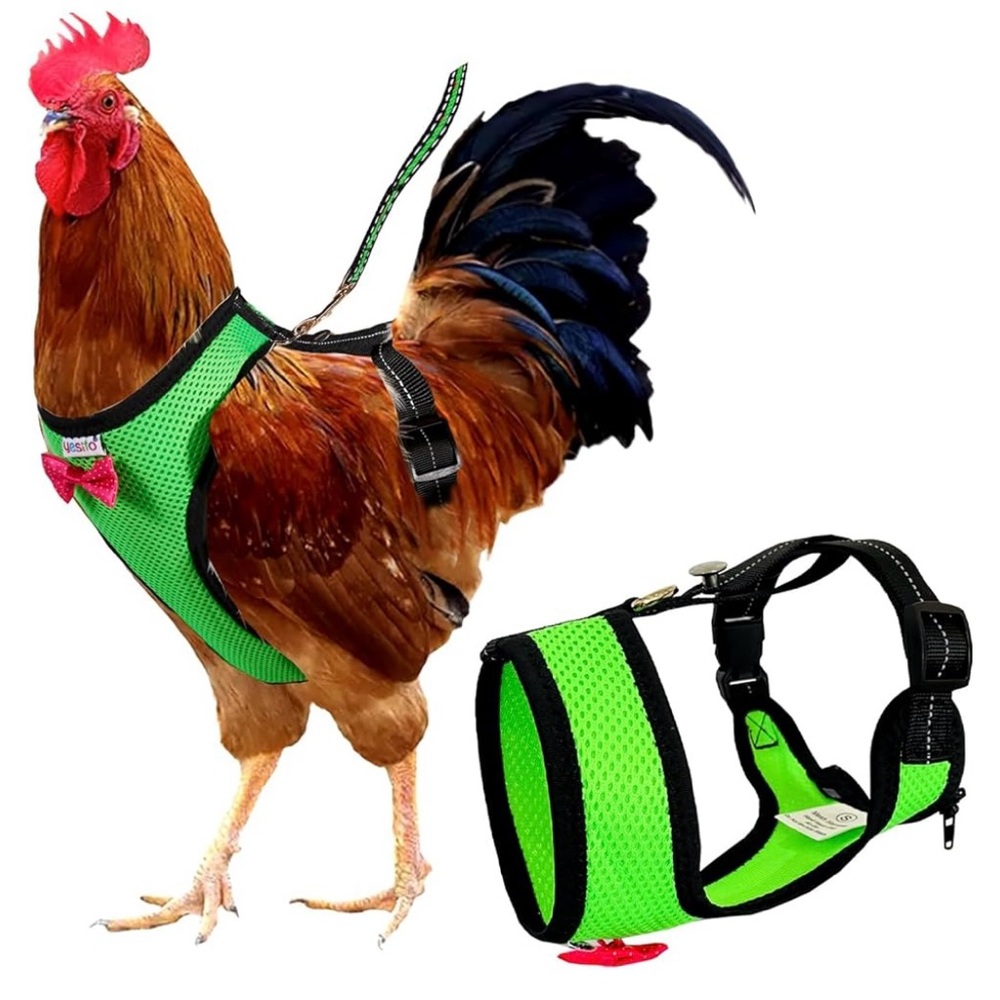 🎉 HP 🎉 Yesito Chicken Hen Duck Goose Rabbit Bunny Harness Green Mesh Pink Bow L